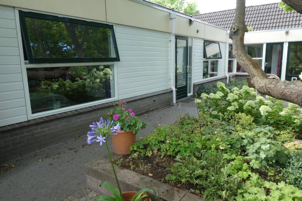 Huis Bij De Catalpa Dordrecht Exterior photo